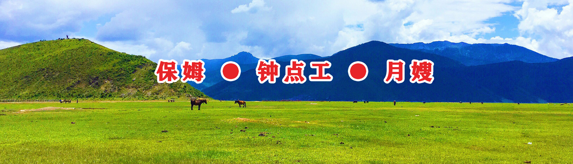 傢(jia)政(zheng)服務(wu)